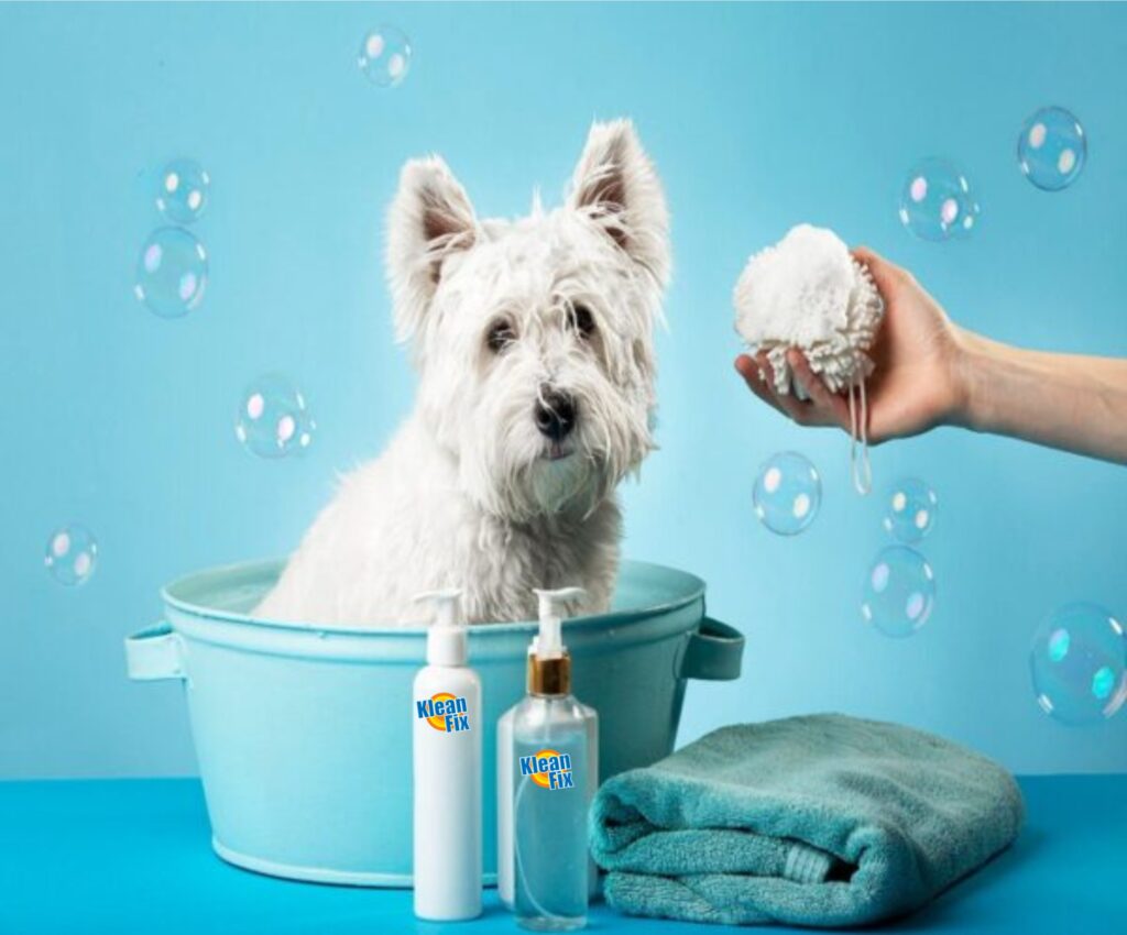 pet area cleaner