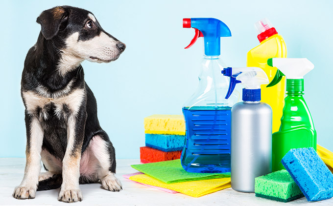 cleaning solutions